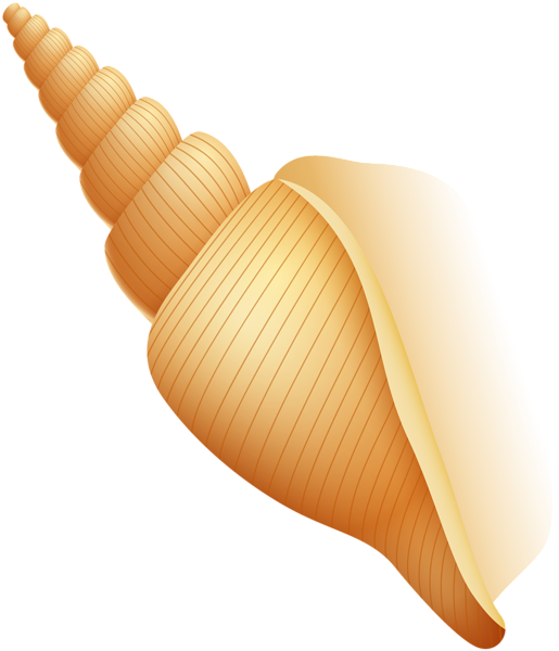 This png image - Beach Sea Shell PNG Clip Art Image, is available for free download