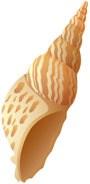 This png image - Beach Shell PNG Clip Art Image, is available for free download