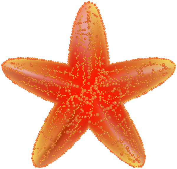 This png image - Beach Starfish PNG Clipart, is available for free download