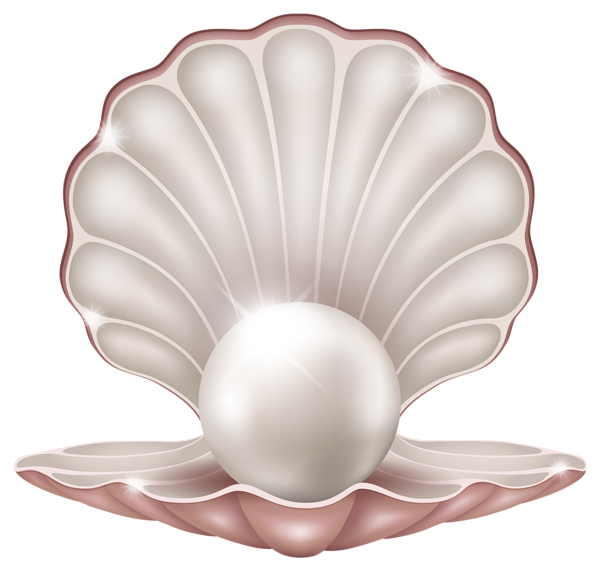 beautiful clam with pearl png clipart image gallery merry christmas clipart black and white