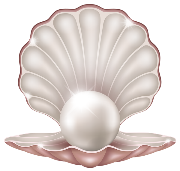 This png image - Beautiful Clam with Pearl PNG Clipart Image, is available for free download