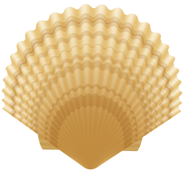 This png image - Clam Shell Clip Art Image, is available for free download