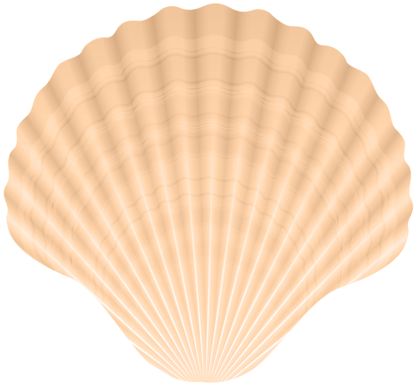 This png image - Clam Shell PNG Clip-art, is available for free download