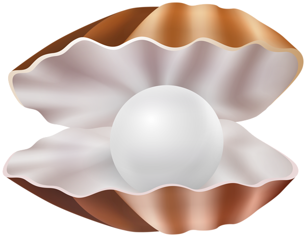 This png image - Clam Shell PNG Clipart, is available for free download