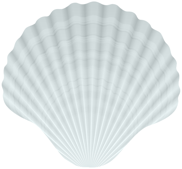 This png image - Clam Shell White PNG Clipart, is available for free download