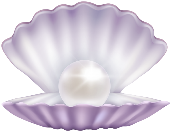 This png image - Clam with Pearl PNG Clipart, is available for free download