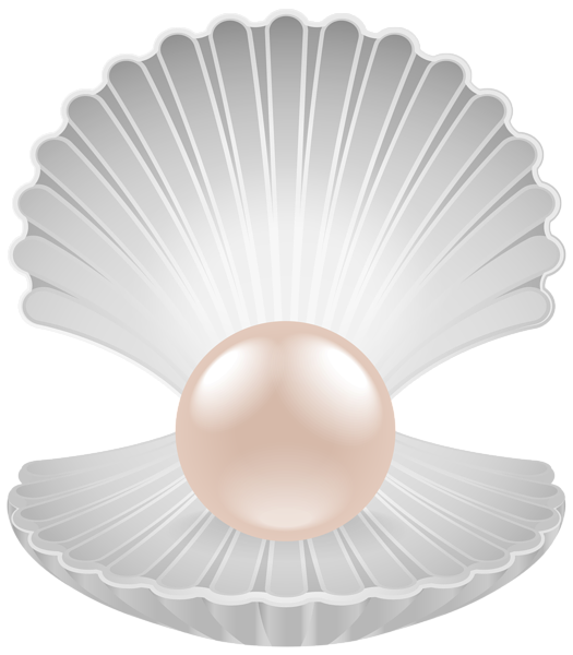 This png image - Clam with Pearl Transparent PNG Clip Art Image, is available for free download