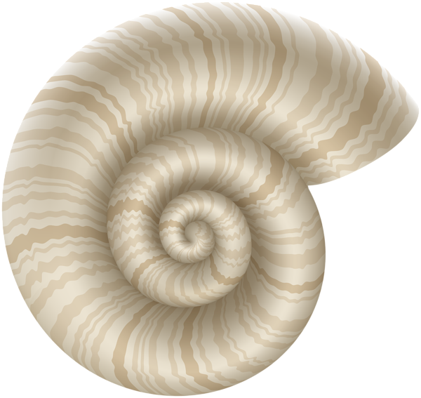 This png image - Cockleshell PNG Clip Art Image, is available for free download