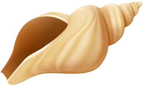 This png image - Conch PNG Clip Art Image, is available for free download