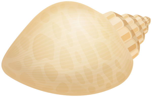 This png image - Conch Shell PNG Transparent Clipart, is available for free download