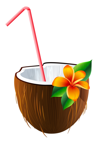 Exotic Coconut Cocktail PNG Clipart Image | Gallery ...