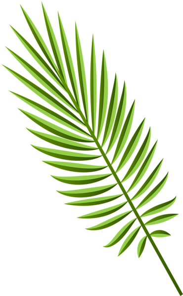 This png image - Green Palm Leaf PNG Clipart, is available for free download