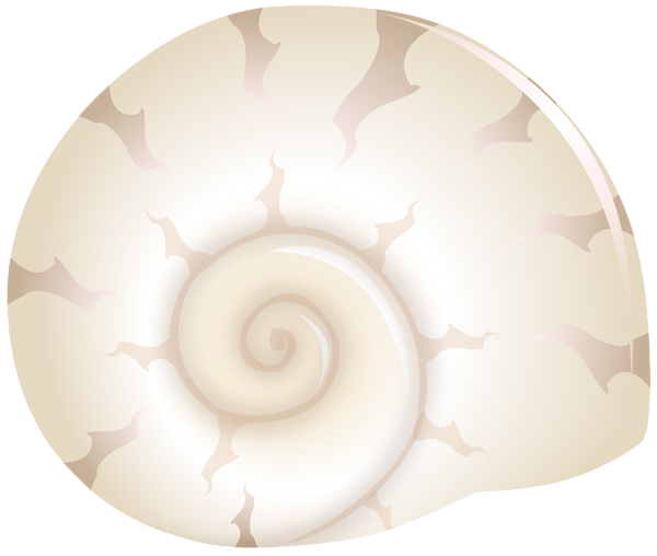 This png image - Old Sea Shell PNG Clipart, is available for free download