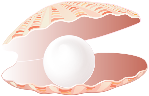 This png image - Open Seashell with Pearl Transparent PNG Clip Art Image, is available for free download