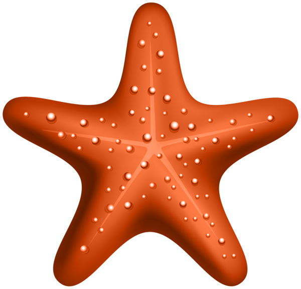 This png image - Orange Starfish PNG Clipart, is available for free download