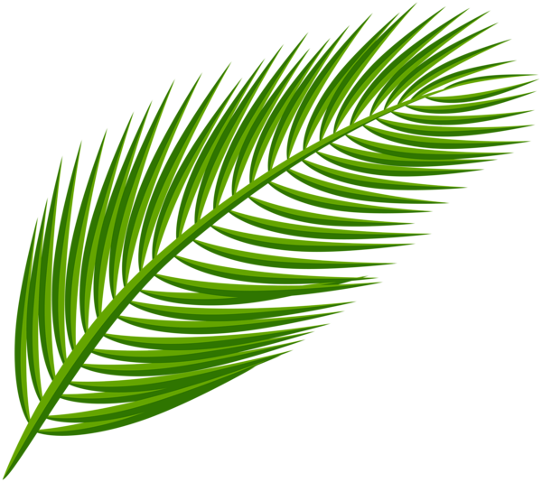 This png image - Palm Leaf Transparent Clip Art Image, is available for free download