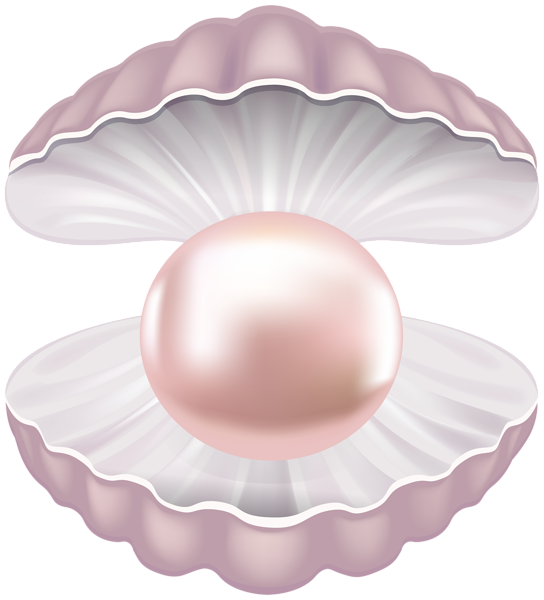 This png image - Pearl Shell Transparent PNG Clip Art Image, is available for free download