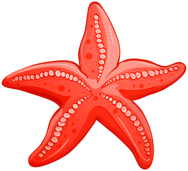This png image - Red Starfish PNG Transparent Clipart, is available for free download