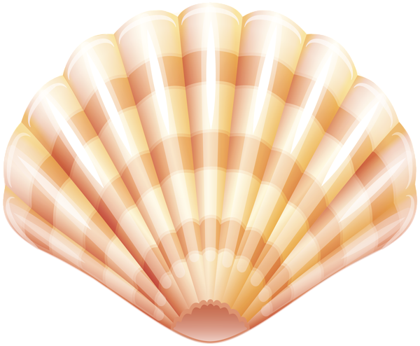This png image - Sea Clam Shell PNG Clip Art Image, is available for free download