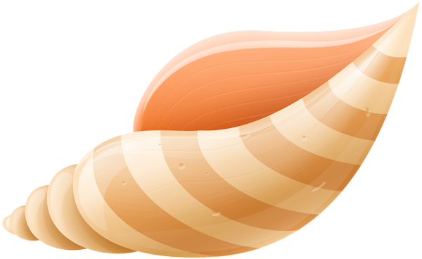 This png image - Sea Shell PNG Clip Art Image, is available for free download