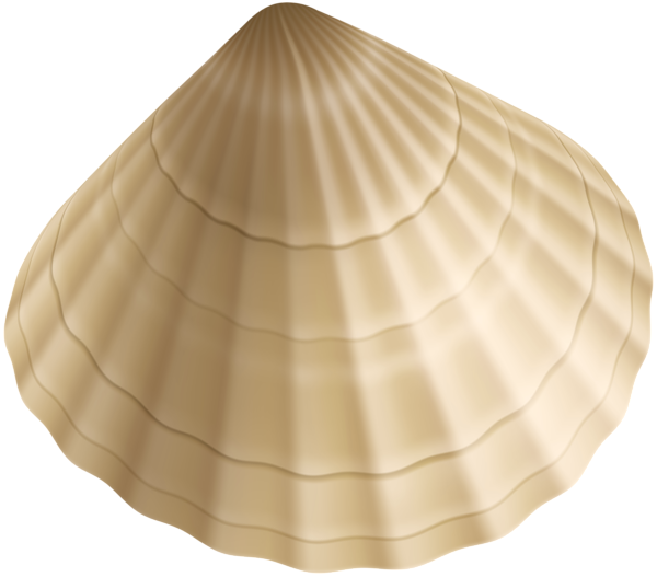 This png image - Sea Shell PNG Clipart, is available for free download