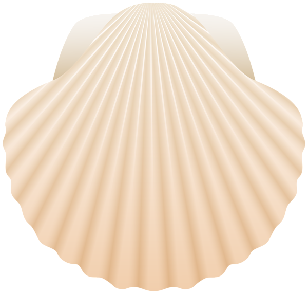 This png image - Sea Shell PNG Clipart, is available for free download