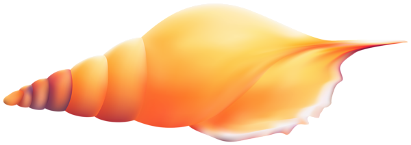 This png image - Sea Shell Transparent Image, is available for free download