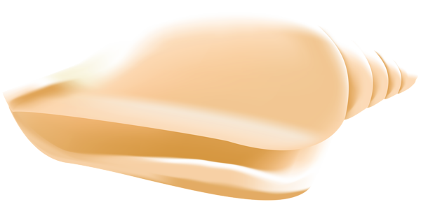 This png image - Sea Shell Transparent PNG Clip Art Image, is available for free download