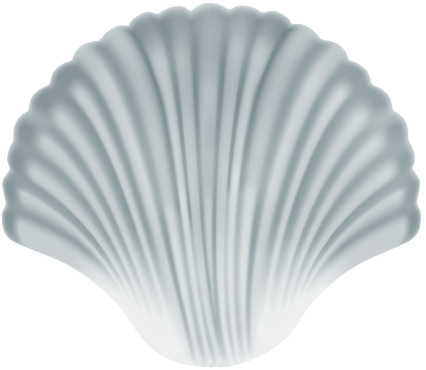 This png image - Sea Shell White PNG Clipart, is available for free download