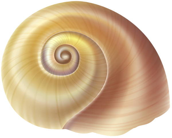 This png image - Sea Snail Shell PNG Clip Art Image, is available for free download