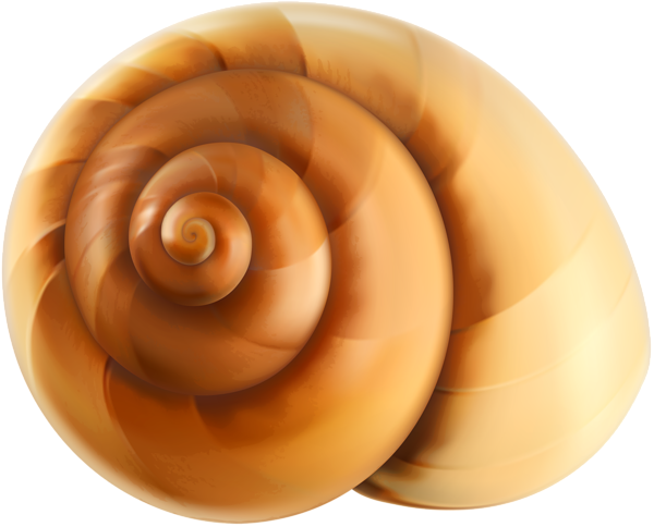 This png image - Sea Snail Shell Transparent PNG Clip Art, is available for free download