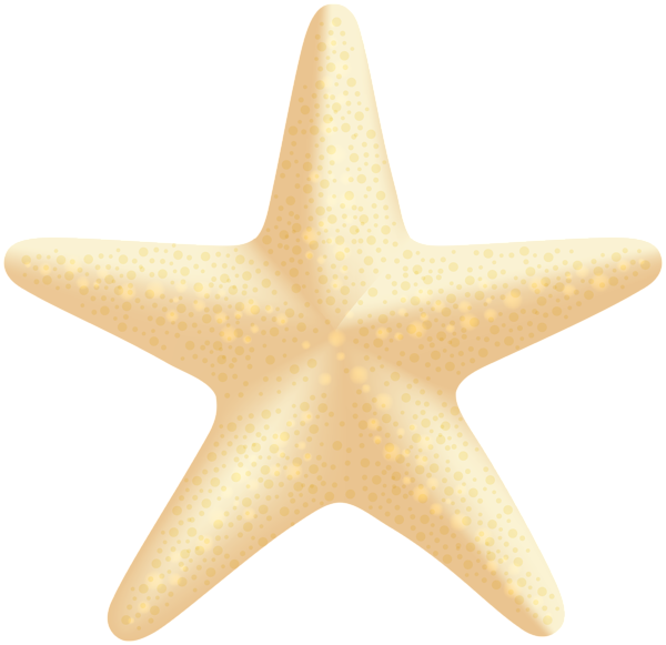 This png image - Sea Star PNG Clip Art Image, is available for free download