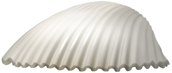 This png image - Seashell PNG Clip Art Image, is available for free download