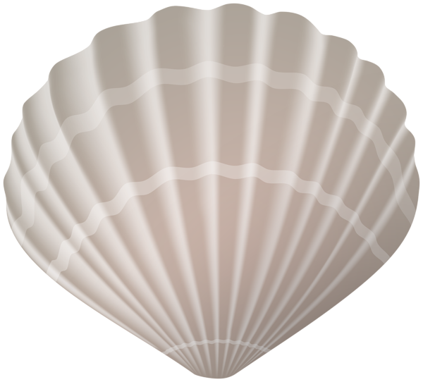 This png image - Seashell PNG Clipart Image, is available for free download