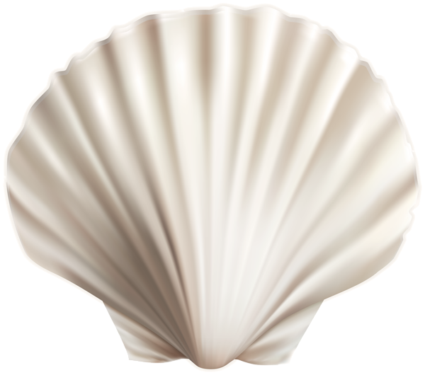 This png image - Seashell PNG Transparent Clipart, is available for free download