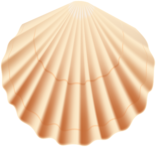 This png image - Seashell Transparent PNG Clip Art Image, is available for free download