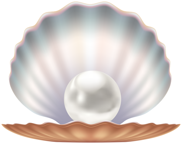 Seashell and Pearl Transparent Image | Gallery Yopriceville - High ...