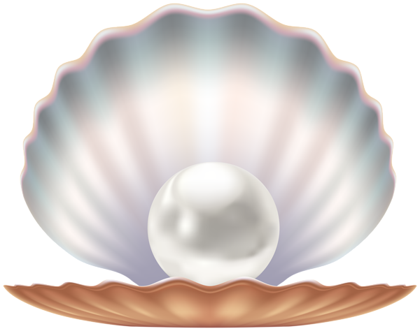 This png image - Seashell and Pearl Transparent Image, is available for free download