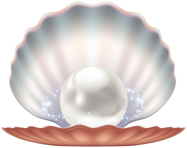 Seashell with Pearl Transparent Image | Gallery Yopriceville - High ...