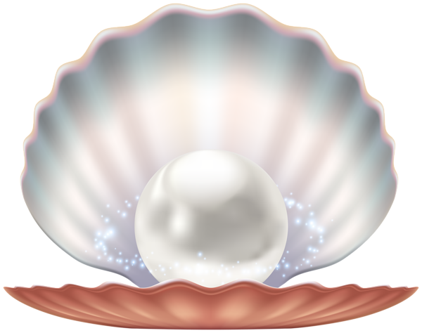 This png image - Seashell with Pearl Transparent Image, is available for free download
