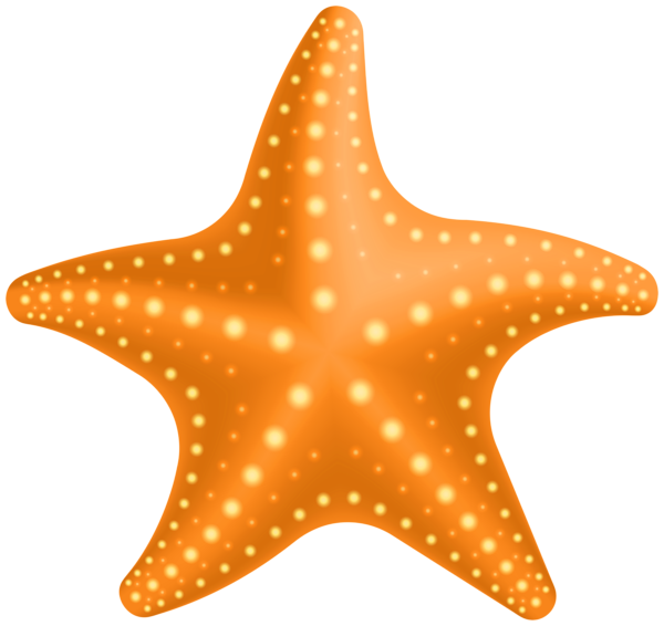 Starfish PNG Clipart | Gallery Yopriceville - High-Quality Free Images ...