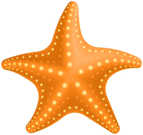 This png image - Starfish PNG Clipart, is available for free download