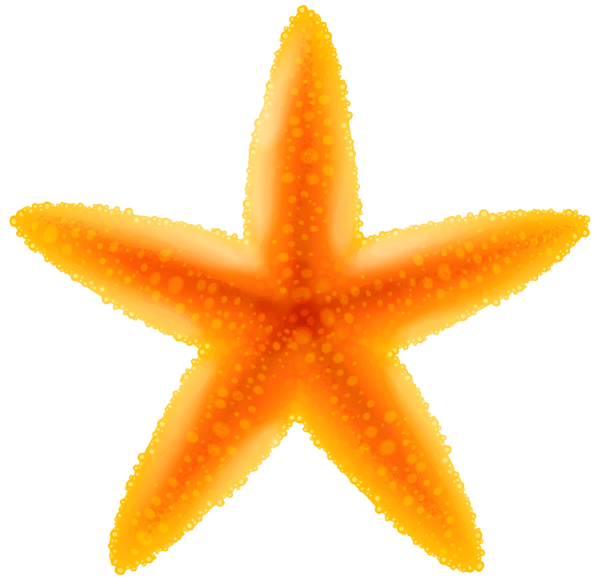 This png image - Starfish Transparent PNG Image, is available for free download