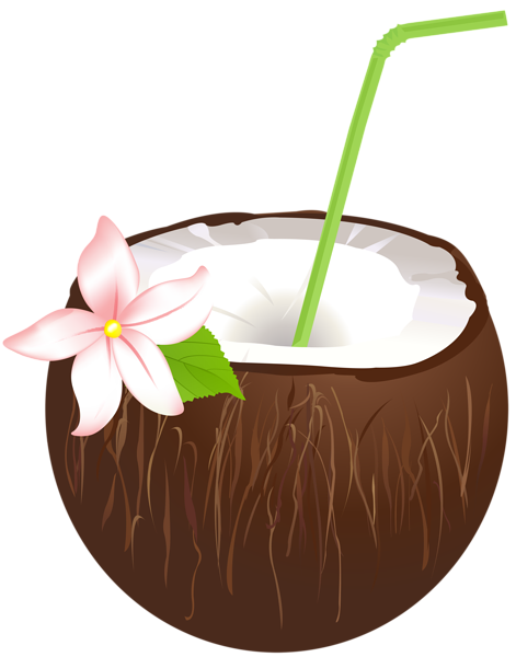 Summer Coconut Drink PNG Clip Art Image | Gallery Yopriceville - High