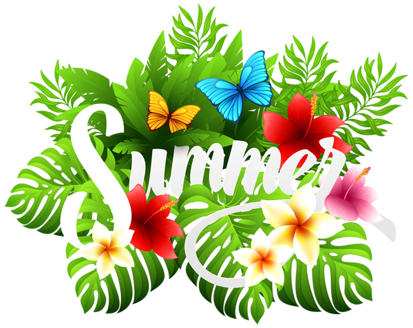 This png image - Summer Decorative Image PNG Clipart, is available for free download