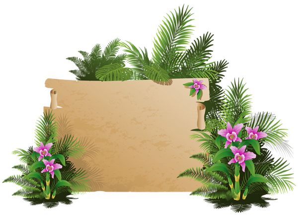 This png image - Summer Exotic Board PNG Clipart, is available for free download