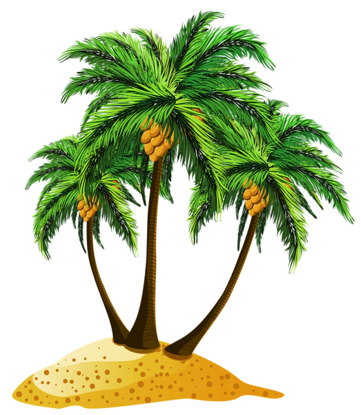 This png image - Transparent Beach Palms Decor PNG Clipart, is available for free download