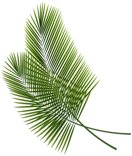 This png image - Tropical Leaves PNG Clipart Image, is available for free download