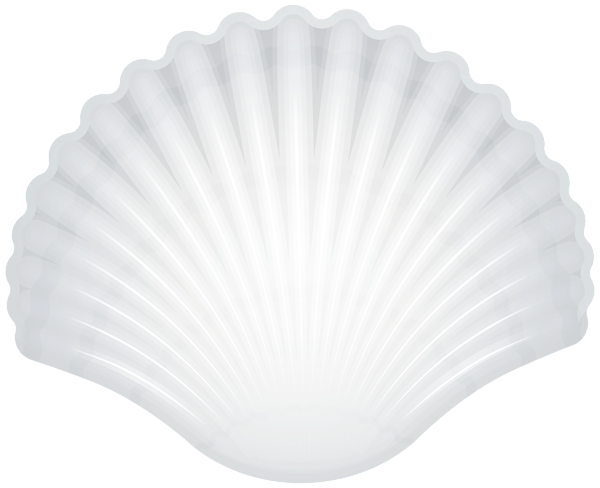 This png image - White Clam PNG Transparent Clipart, is available for free download