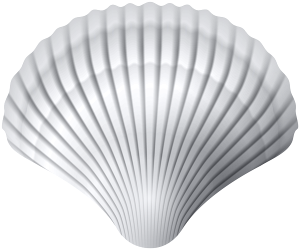This png image - White Clam Shell PNG Clipart, is available for free download